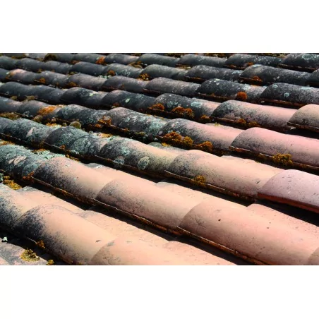 DIRECT MOUSS PRO anti-verdissement