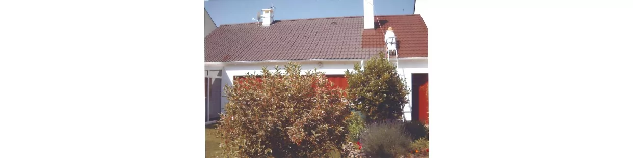 Peintures pour toitures